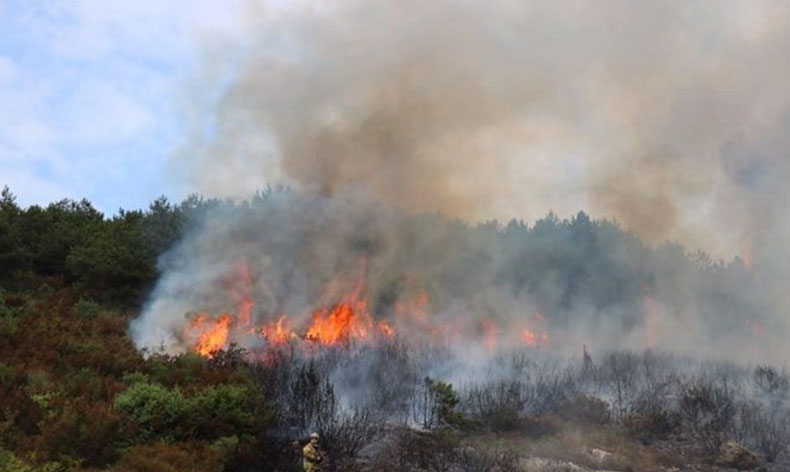 Aydos Ormanı'nda yangın