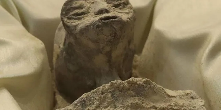 Uzaylı mı, mumya mı?