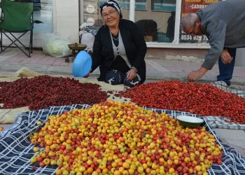 Yaban meyveleri pazar tezğahlarını süslüyor
