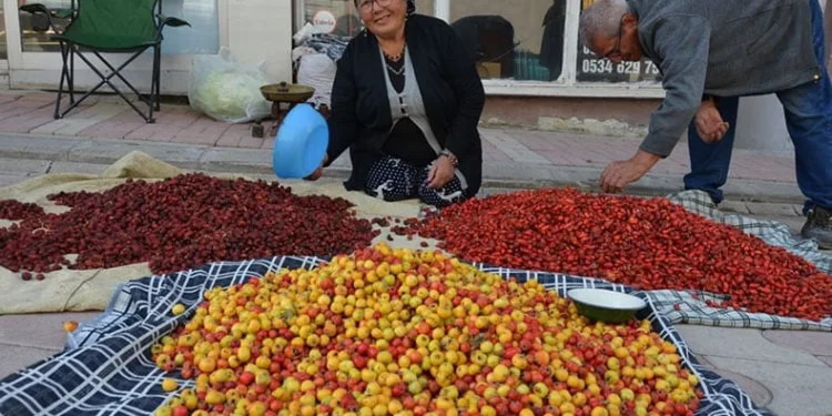 Yaban meyveleri pazar tezğahlarını süslüyor