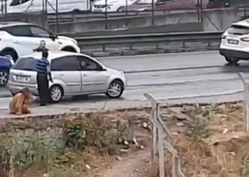 Tartıştığı kadını kemerle darp etti