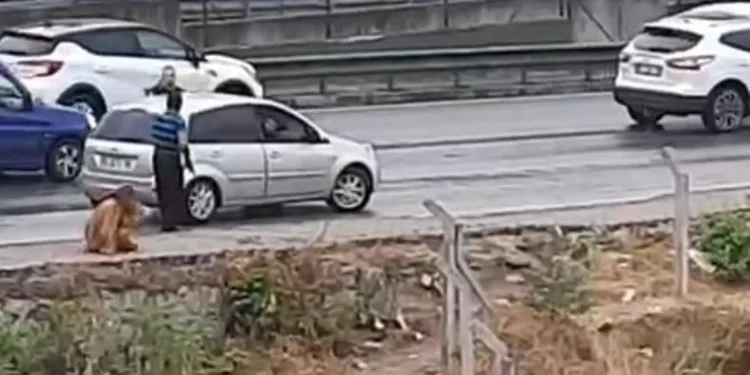 Tartıştığı kadını kemerle darp etti