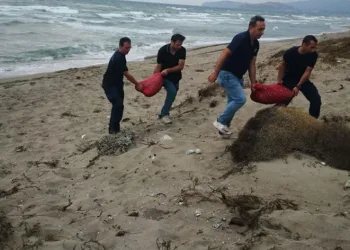 Bursa’da avlanması yasak 5,5 ton kum şırlanı ele geçirildi