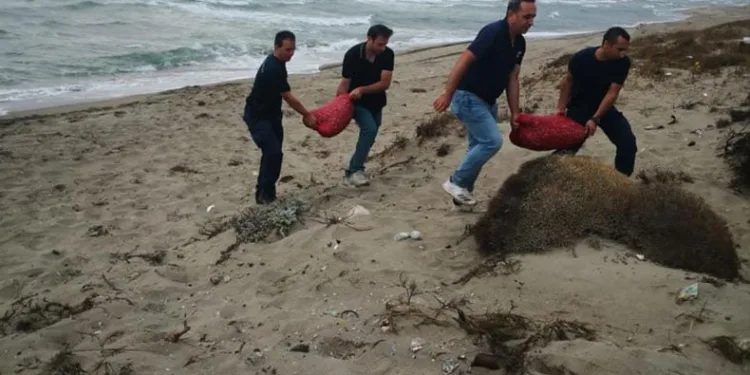 Bursa’da avlanması yasak 5,5 ton kum şırlanı ele geçirildi
