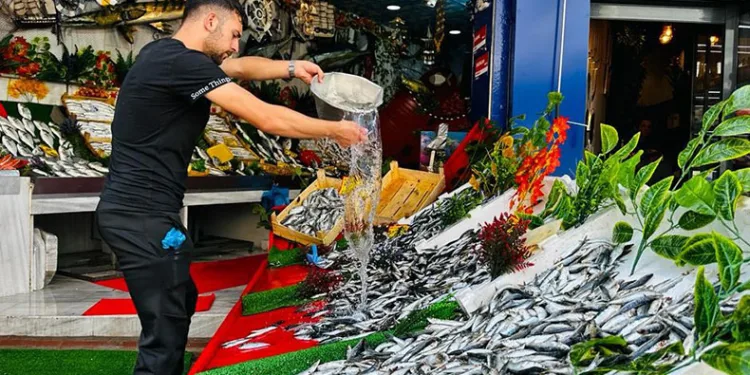 Yasak sonrası tezgahlar balıkla şenlendi