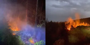 Yıldırım düşmesi sonucu çıkan yangın söndürüldü