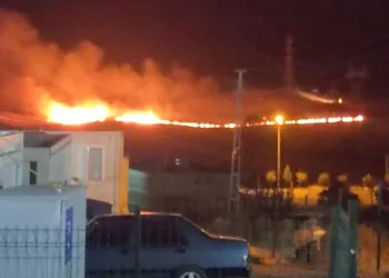 Mezarlık yanında çıkan yangın korkuttu