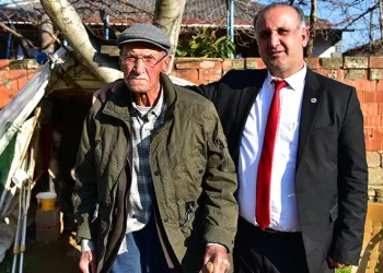 Asırlık çınar hayata gözlerini yumdu
