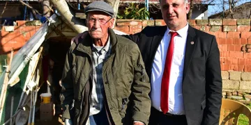 Asırlık çınar hayata gözlerini yumdu