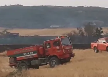 Anız yangını ormanlık alana sıçradı