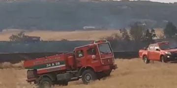 Anız yangını ormanlık alana sıçradı