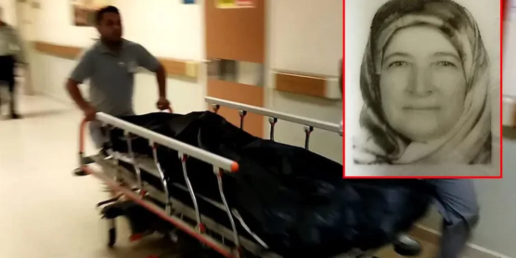 Bursa’da arının soktuğu kadın hayatını kaybetti