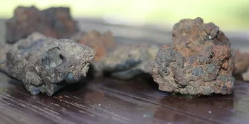 Mantar toplarken bulduğu taşlara gözü gibi bakıyor