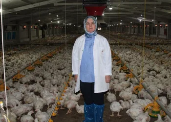 Aldığı destekle üretim yapıyor