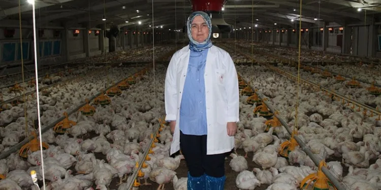 Aldığı destekle üretim yapıyor