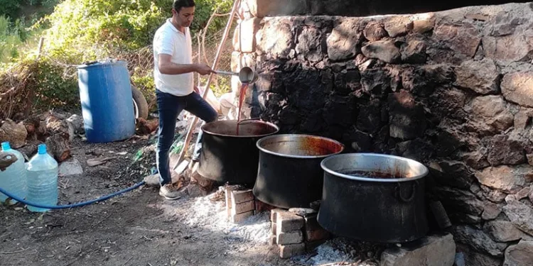 Pekmez kazanları kaynamaya başladı
