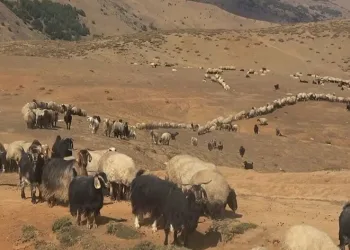 Büyük göç öncesi hazırlıklar tamamlandı