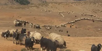 Büyük göç öncesi hazırlıklar tamamlandı