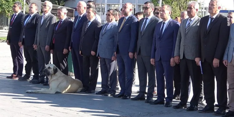 Tören alanında davetsiz misafir şoku