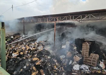 Gıda işletmesi alevlere teslim oldu