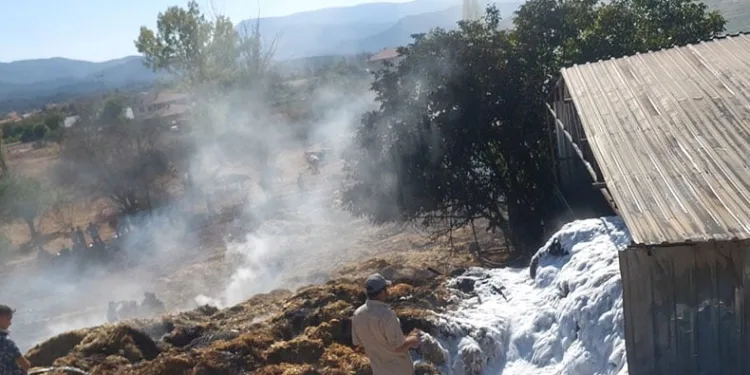 Bolu’da samanlık alev alev yandı
