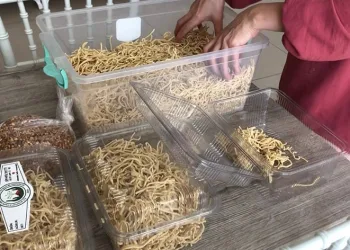 Yurtiçi yurtdışında alıcı buluyor