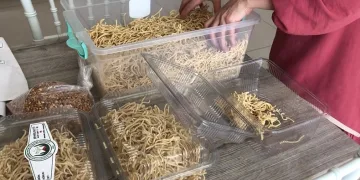 Yurtiçi yurtdışında alıcı buluyor