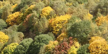 Sonbahar renkleri ilgi çekiyor