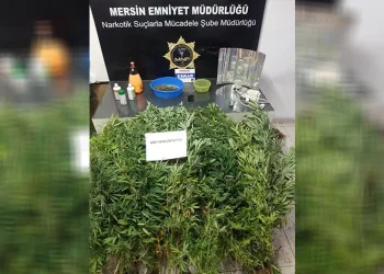 Evin balkonunu uyuşturucu bahçesine çevirmişler