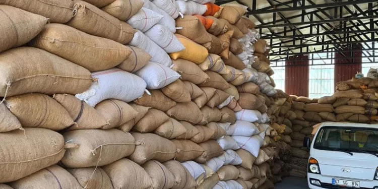 Fındık fiyatındaki artış üreticiyi sevindirdi