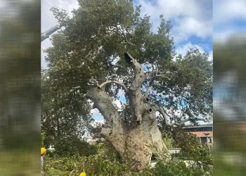 850 yıldır tarihe tanıklık ediyor