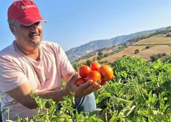 Sarıgöl’de evlerde kış hazırlığı