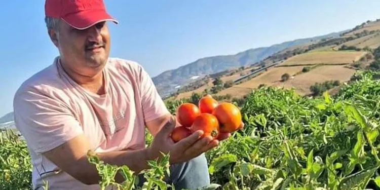 Sarıgöl’de evlerde kış hazırlığı