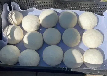Ağrı’da “kurut” mesaisi başladı
