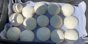Ağrı’da “kurut” mesaisi başladı