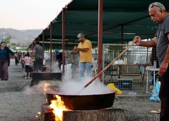 Piknik havasında kış hazırlıkları
