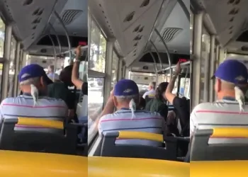 Ensesinde muhabbet kuşuyla seyahat ediyor
