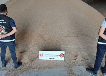 84 ton ekmek buğdayı ele geçirildi