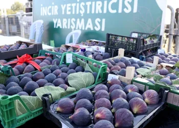 İncir Festivali üretici ile tüketiciyi buluşturdu