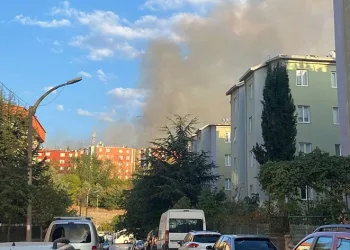 Bursa’da orman yangını
