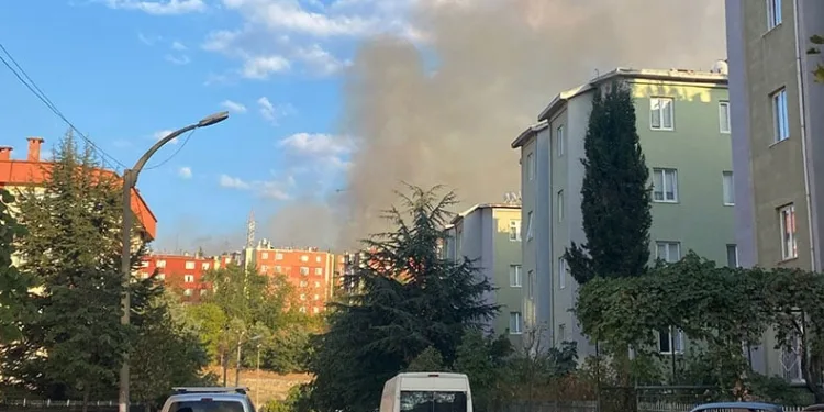 Bursa’da orman yangını