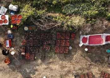 Kadınların gelir kapısı oldu