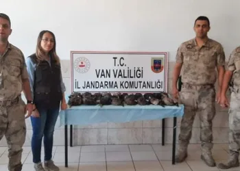 Kaçak olarak yaban ördeği avlayanlara ceza