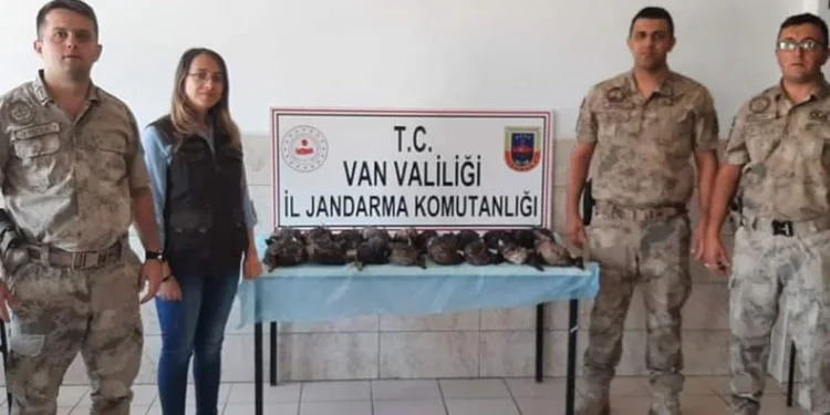 Kaçak olarak yaban ördeği avlayanlara ceza