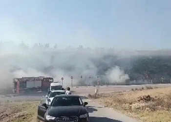 Bursa’da gençlerin tehlikeli oyunu ormanı yakacaktı