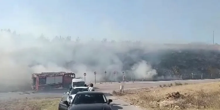 Bursa’da gençlerin tehlikeli oyunu ormanı yakacaktı