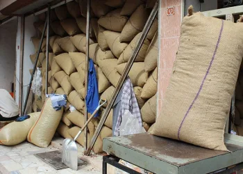 Piyasada fındık 100 TL’ye ulaştı