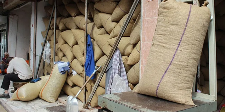 Piyasada fındık 100 TL’ye ulaştı