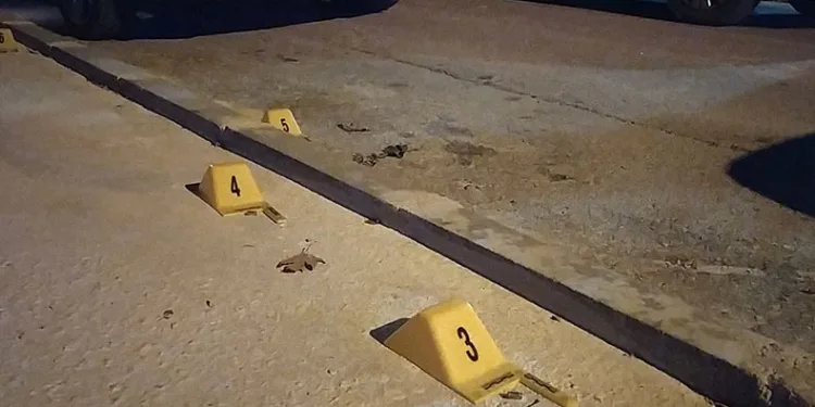 Park halindeki otomobil kurşunlandı