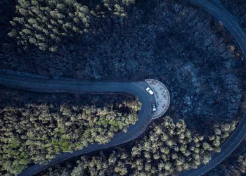 Yangının yol açtığı ekonomik kayıp